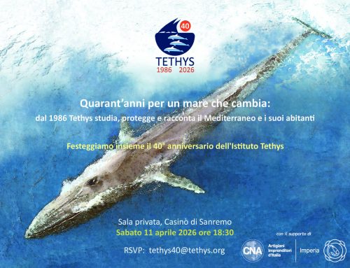 Il Mare come Eredità e Responsabilità: DAPHNÉ celebra i 40 anni del Tethys Research Institute